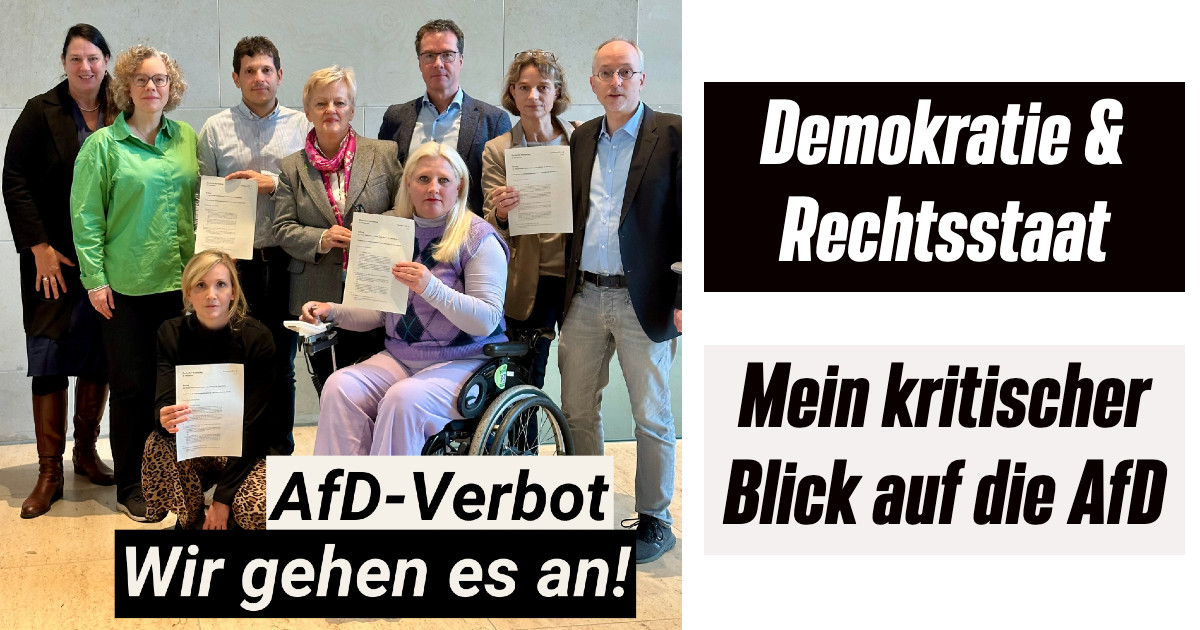 Warum die AfD Demokratie & Rechtsstaat gefährdet